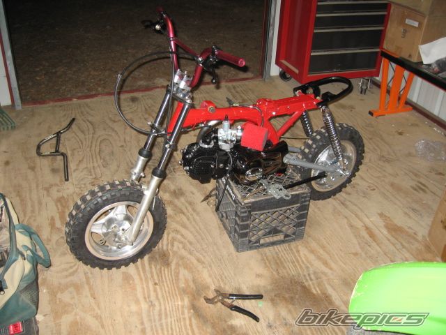 1991 HONDA Z 50 | Picture 1899020 motorcycle photo