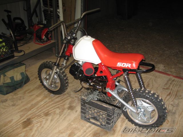 1991 HONDA Z 50 | Picture 1899021 motorcycle photo