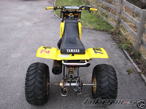 1985 YAMAHA YTZ 250 | Picture 1899192 motorcycle photo