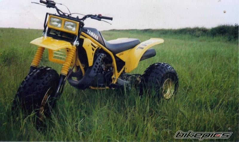 1985 YAMAHA YTZ 250 | Picture 1899200 motorcycle photo