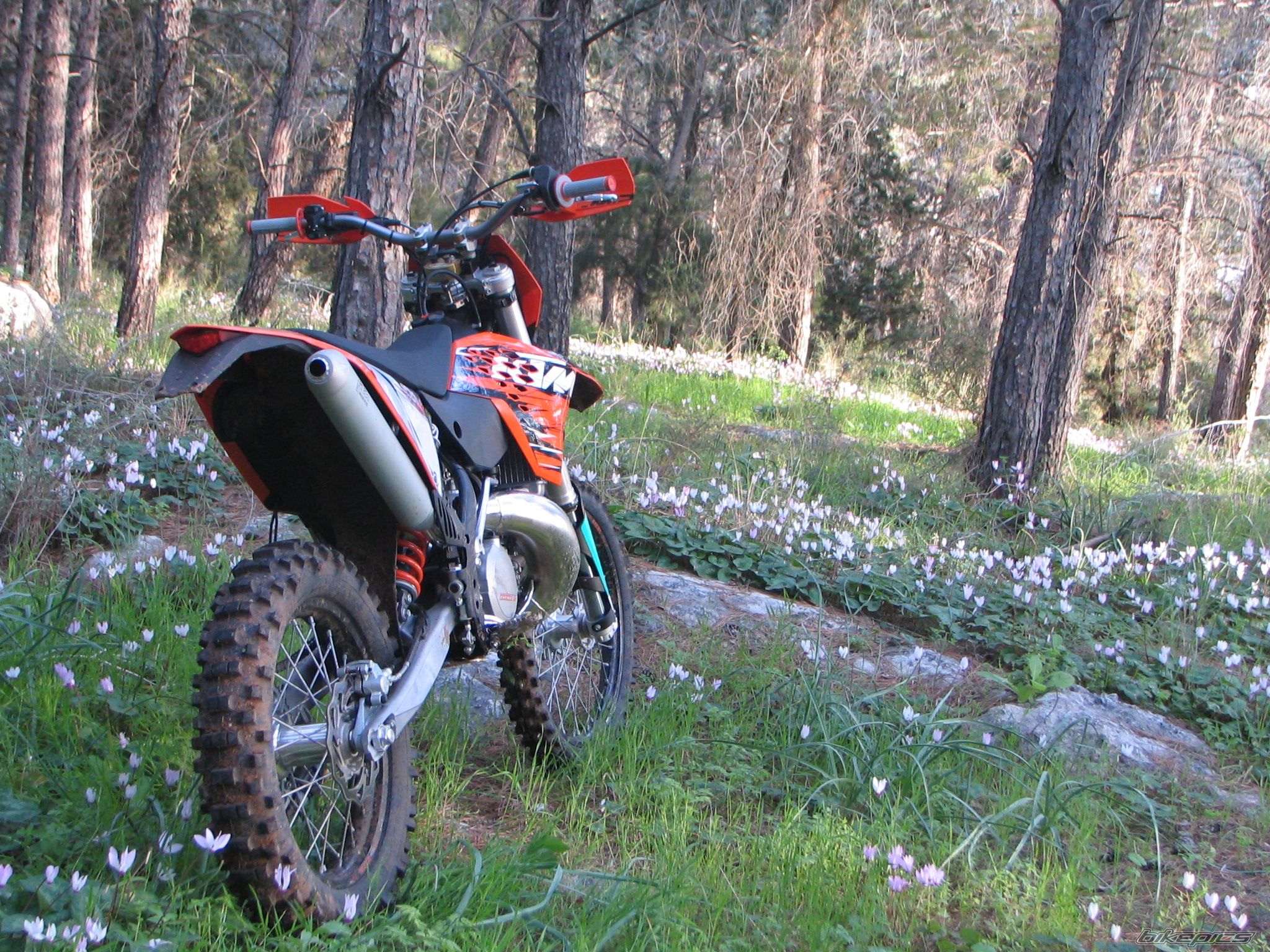 2010 KTM 300 EXC | Picture 1899309 motorcycle photo