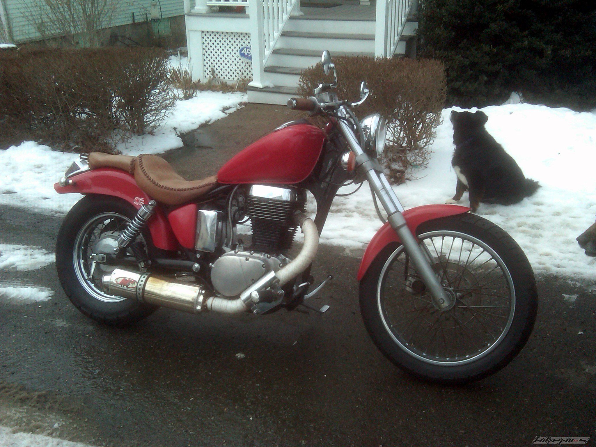1986 SUZUKI SAVAGE | Picture 1899548 motorcycle photo