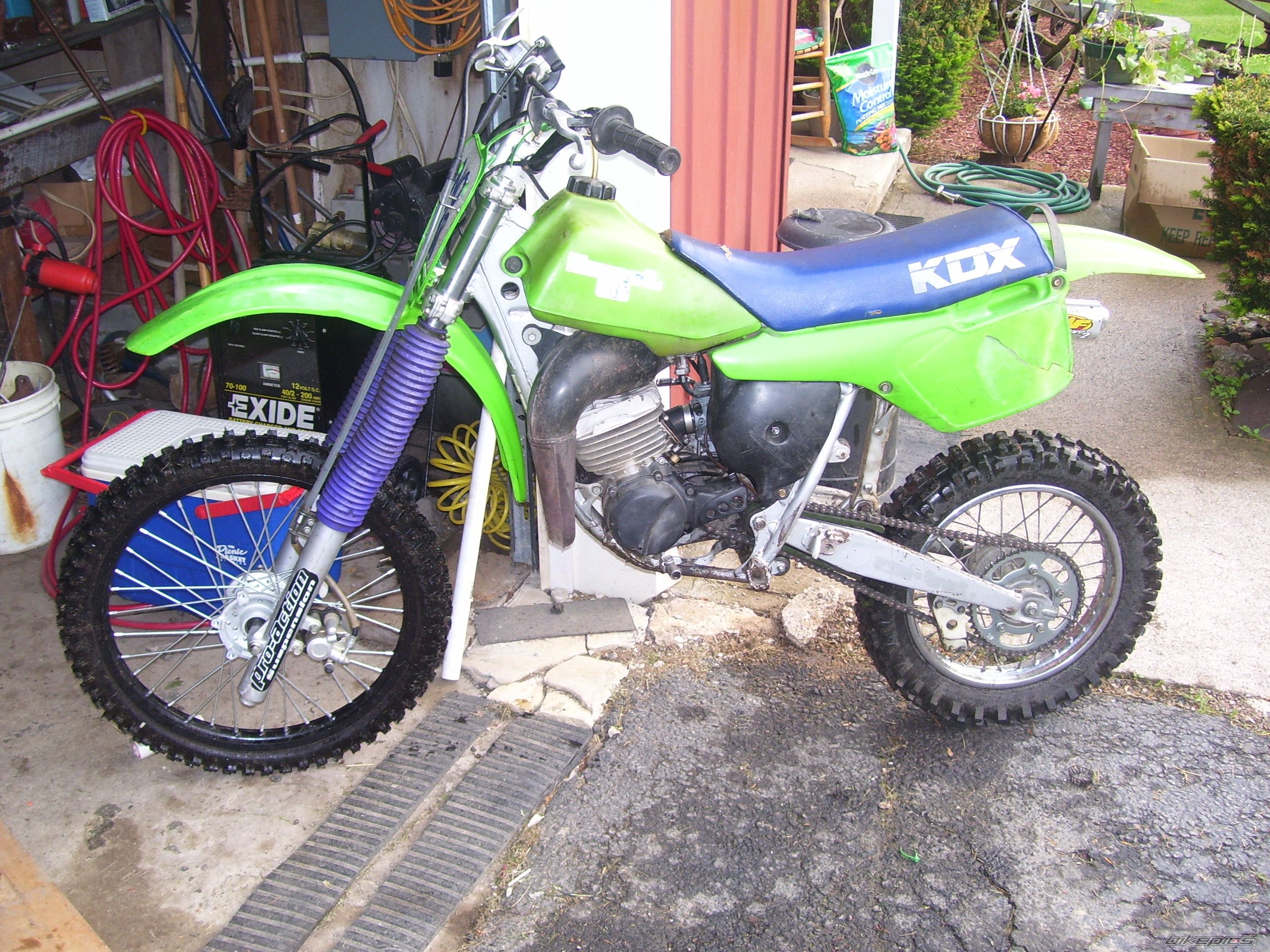 1986 KAWASAKI KDX 80 | Picture 1899578 motorcycle photo