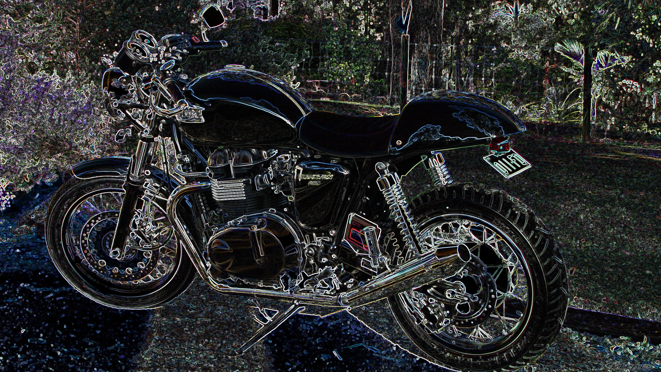 2009 TRIUMPH THRUXTON 900 | Picture 1899626 motorcycle photo