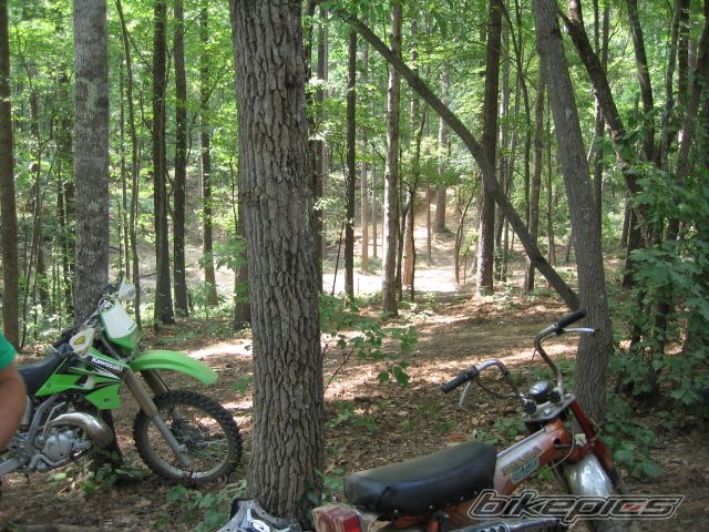 2004 KAWASAKI KDX 220 | Picture 1899633 motorcycle photo