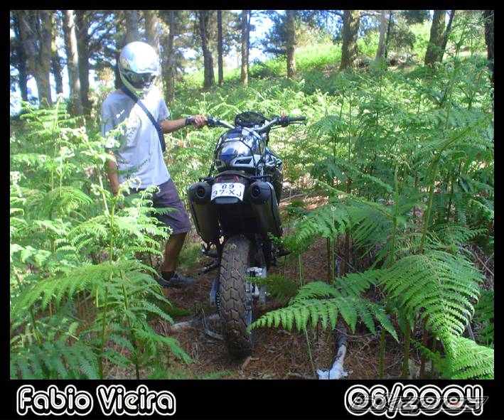 2004 YAMAHA XT 600 | Picture 189984 motorcycle photo