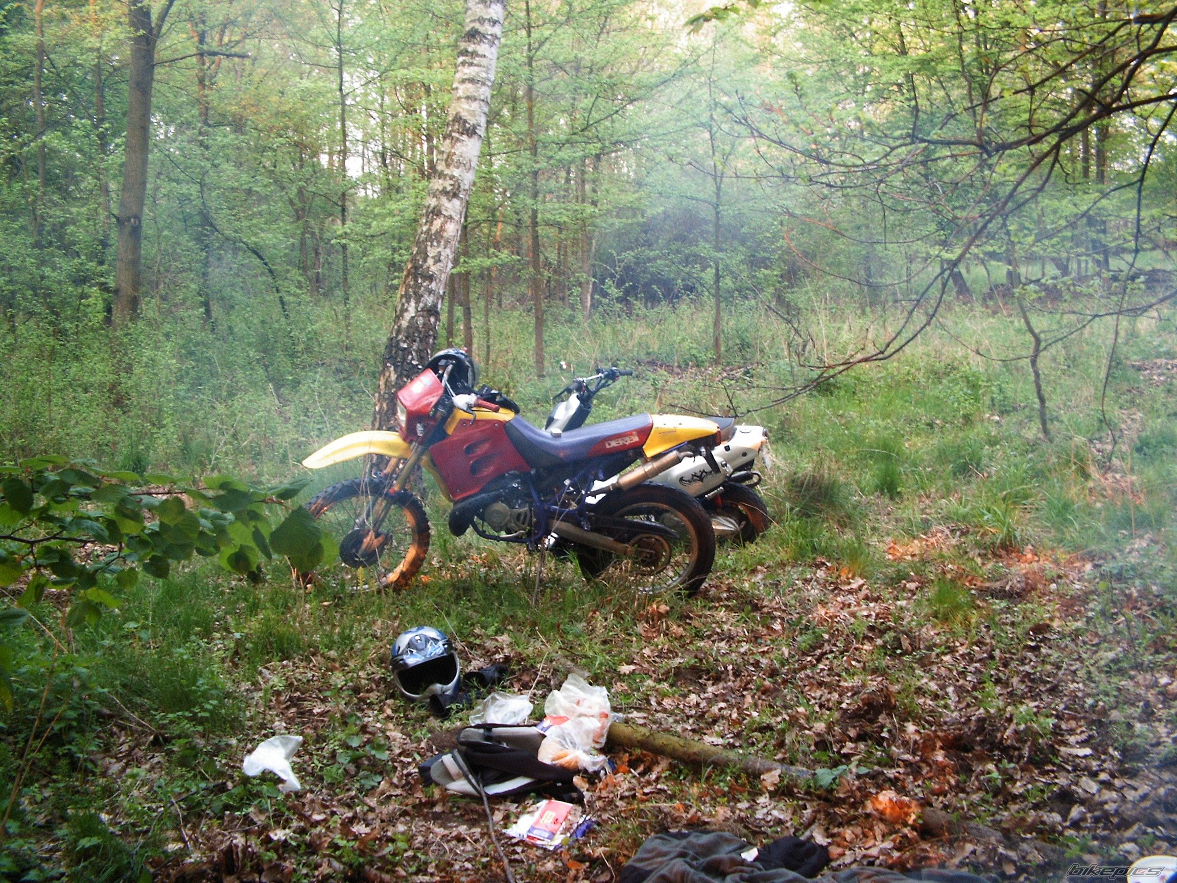 1997 DERBI SENDA R 50 | Picture 1900301 motorcycle photo