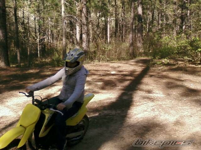 2001 SUZUKI JR 80 | Picture 1900333 motorcycle photo