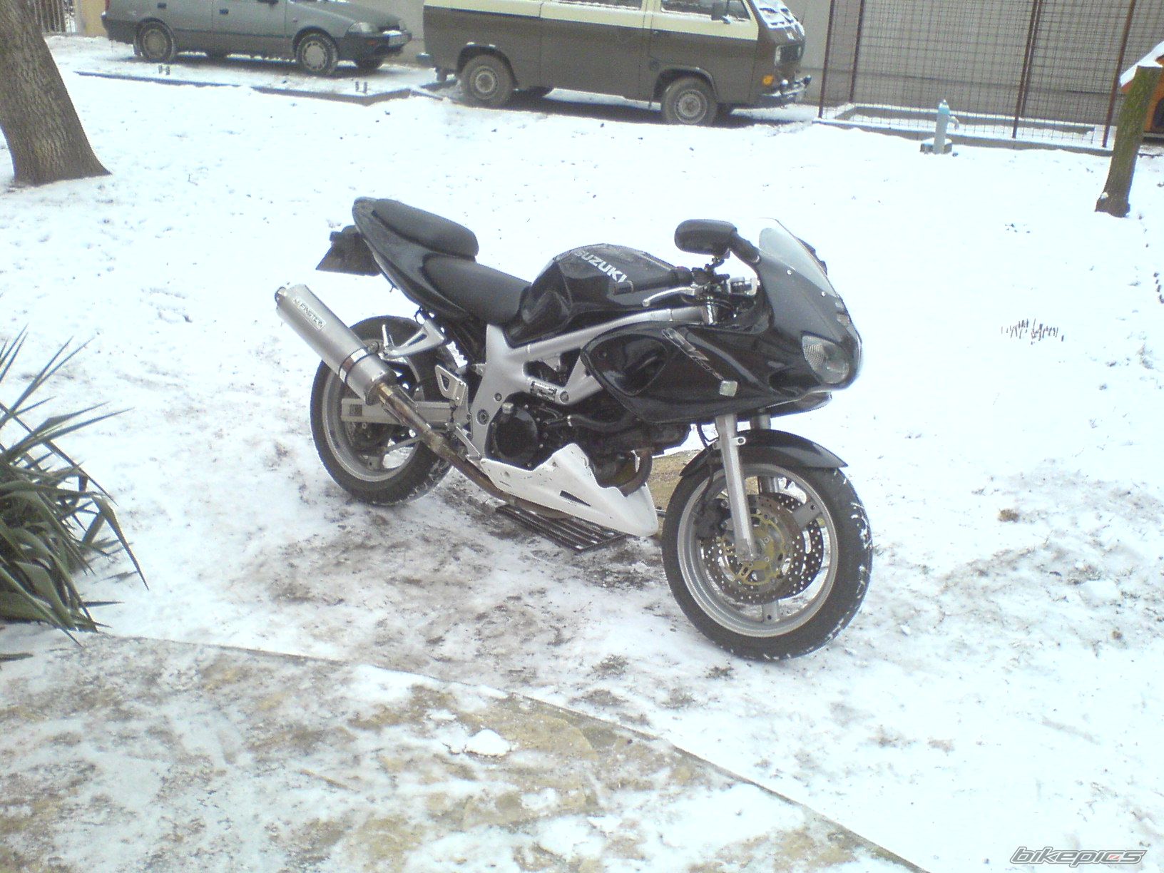 1999 SUZUKI SV 650S | Picture 1901145 motorcycle photo