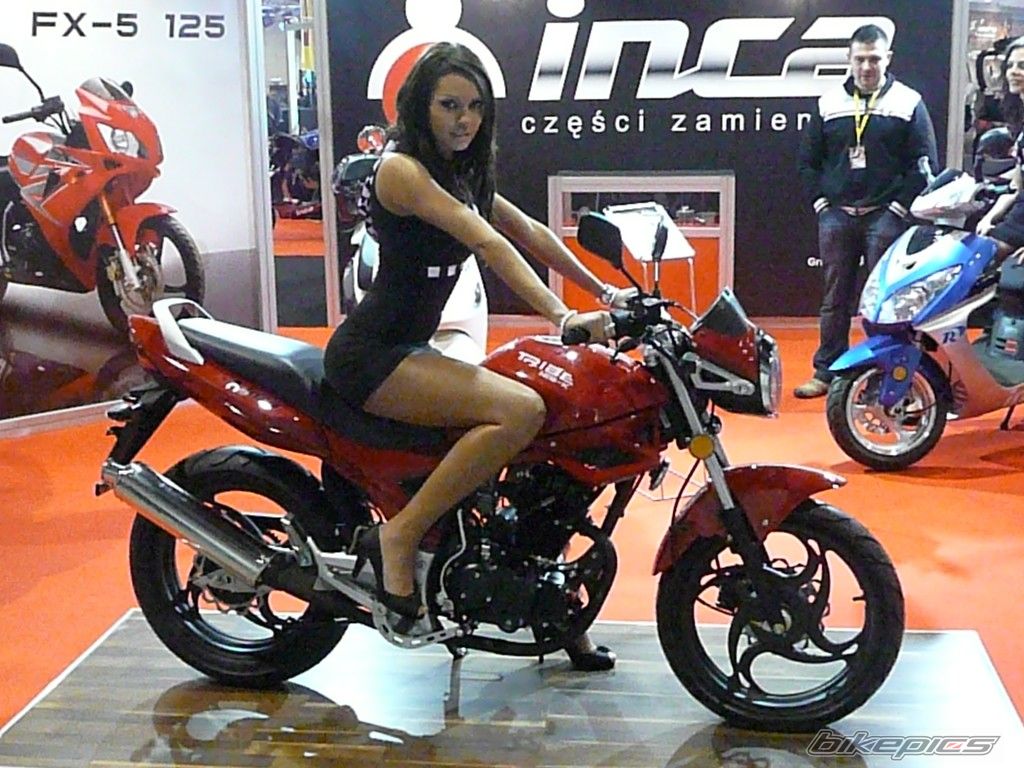    | Picture 1901334 motorcycle photo