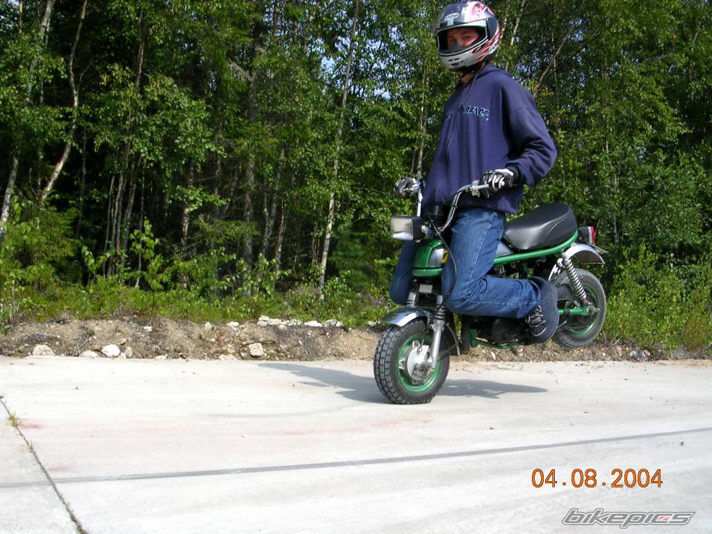 1993 SUZUKI PV 50 | Picture 190150 motorcycle photo