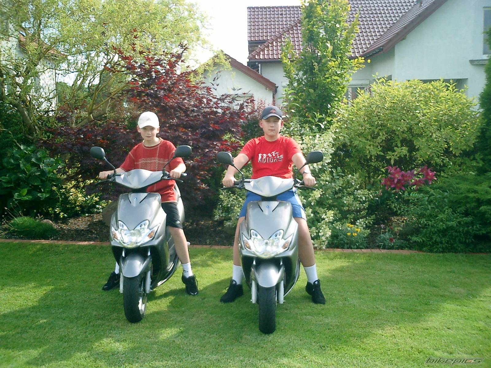 2004 YAMAHA JOG | Picture 190207 motorcycle photo