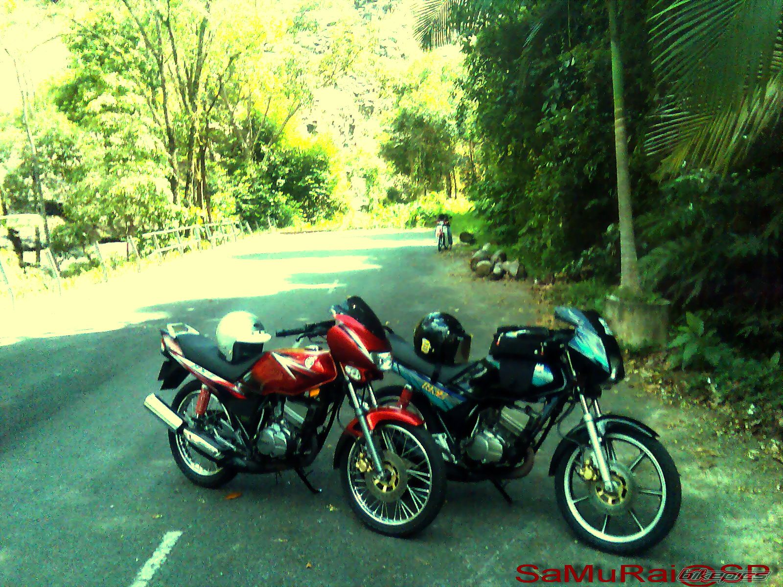2008 YAMAHA RXZ 135 | Picture 1902213 motorcycle photo
