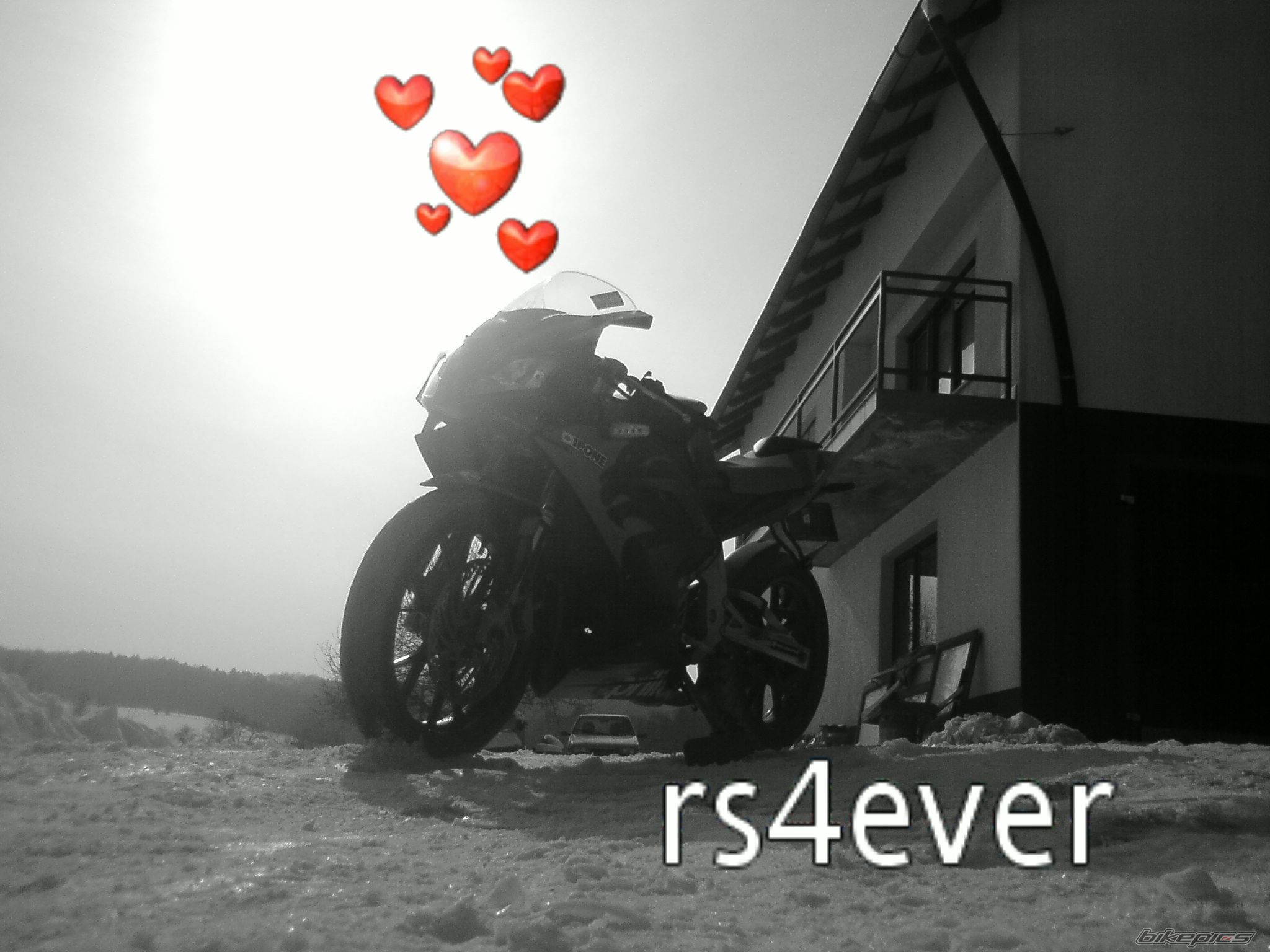2009 APRILIA RS 50 | Picture 1902432 motorcycle photo
