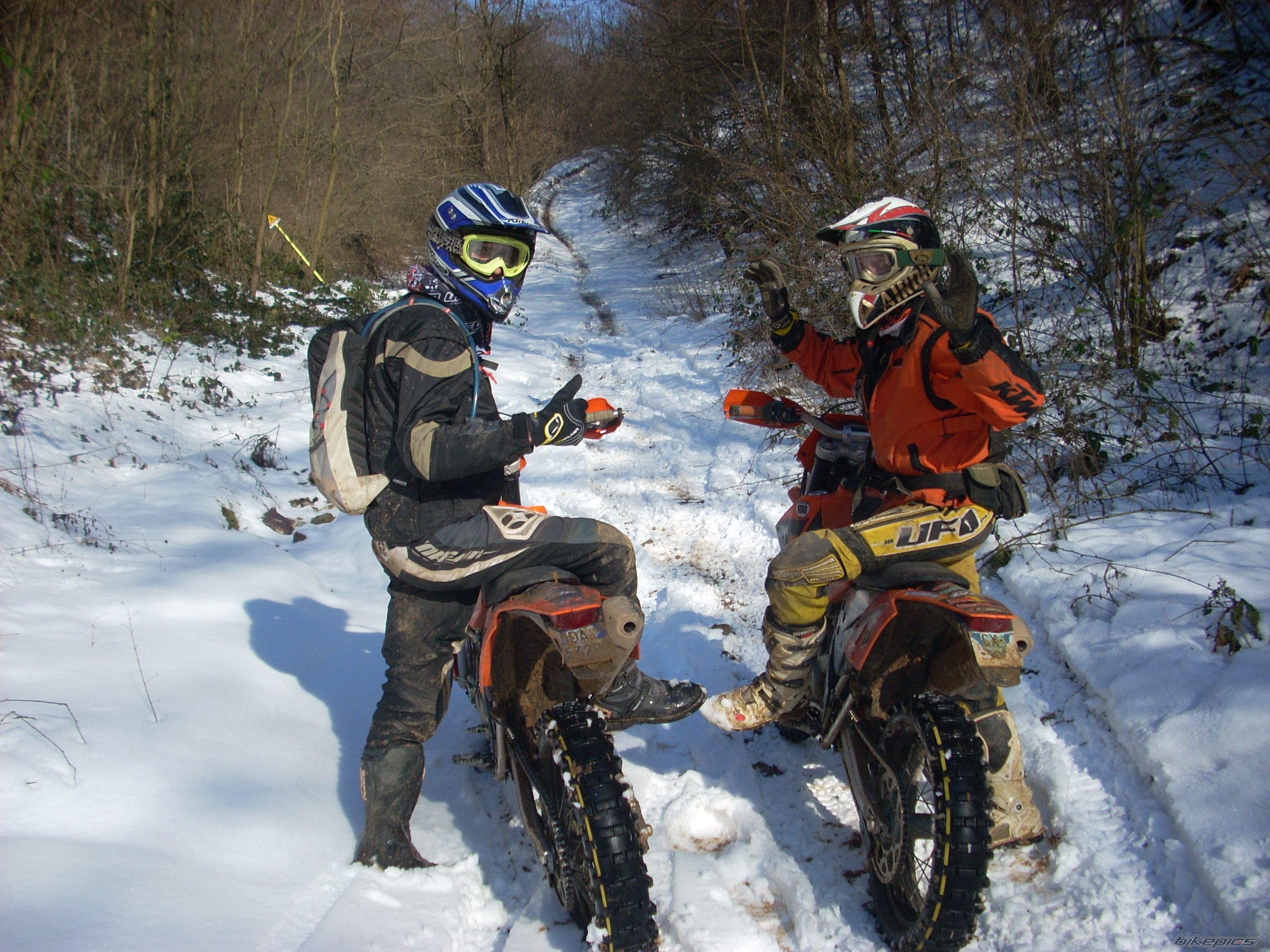    | Picture 1902626 motorcycle photo