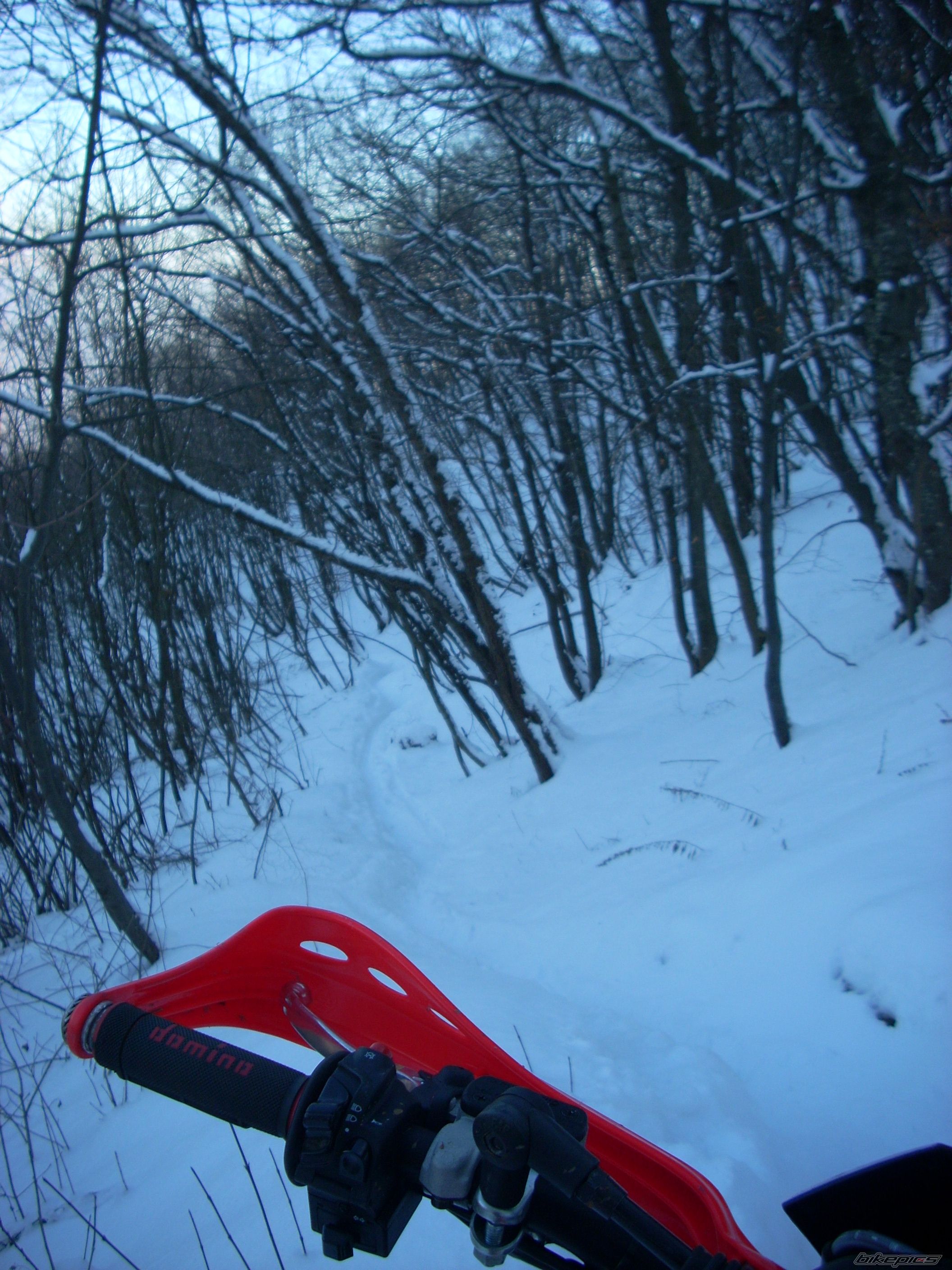    | Picture 1902640 motorcycle photo
