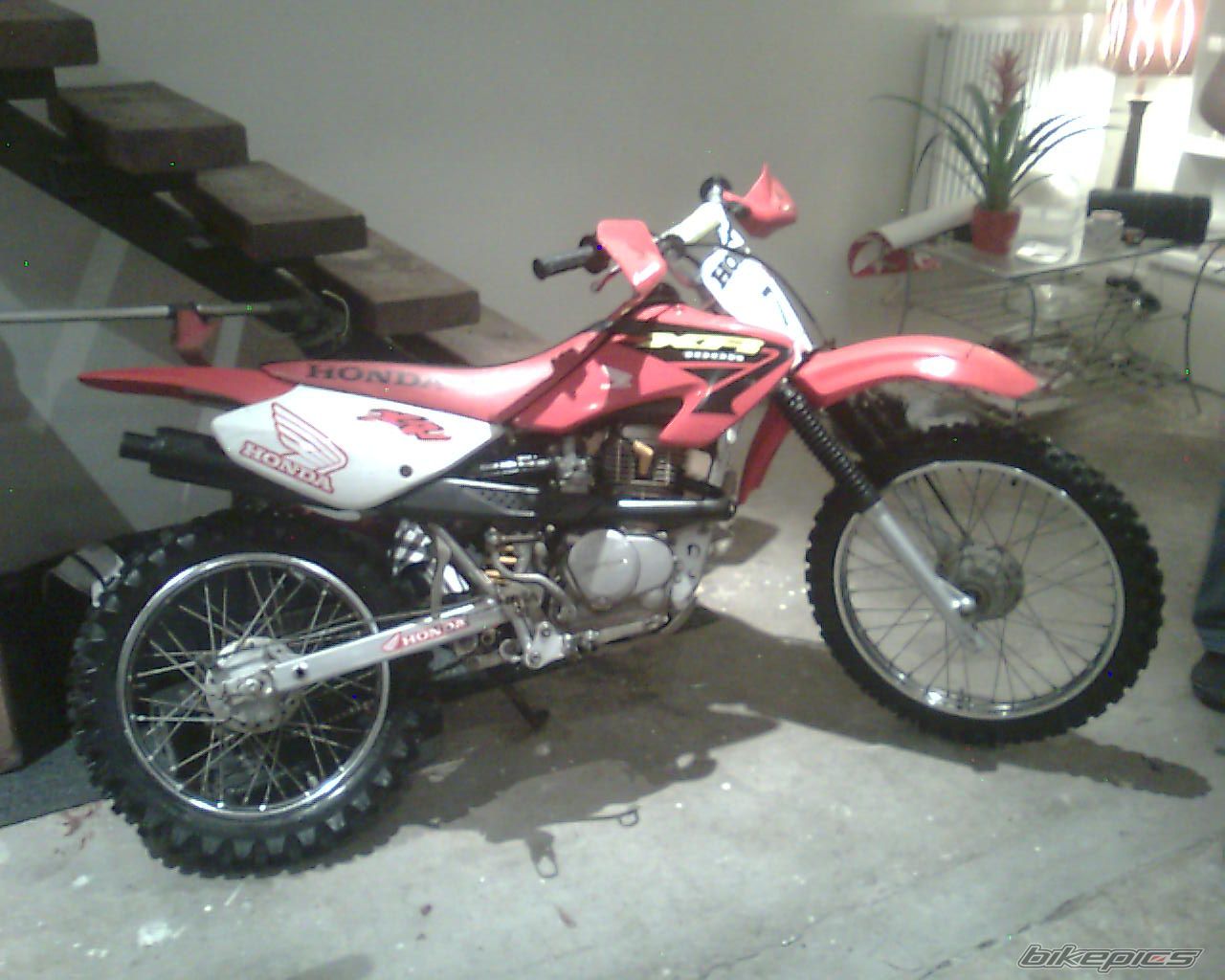    | Picture 1902684 motorcycle photo