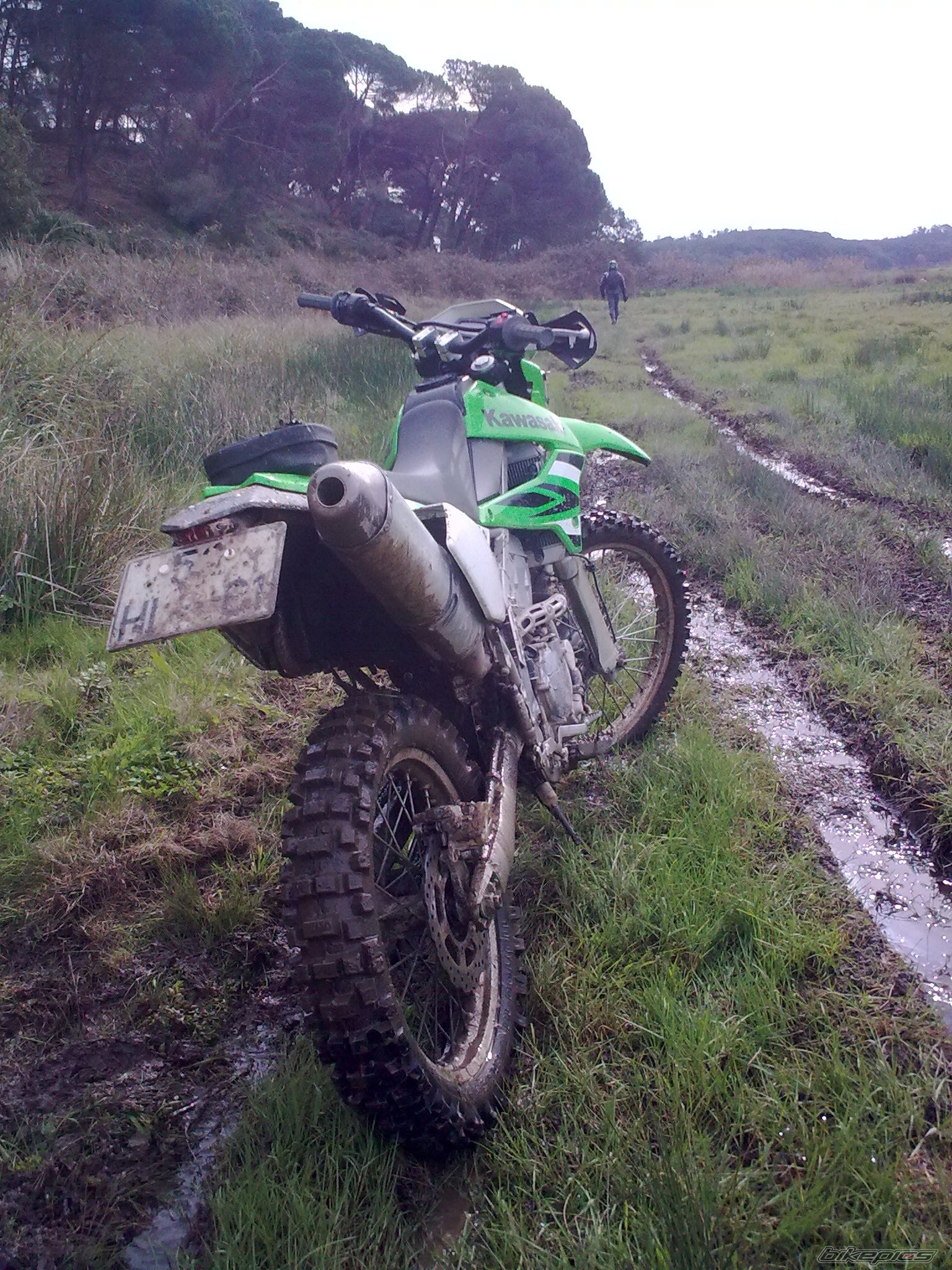 2009 KAWASAKI KLX 250 | Picture 1903018 motorcycle photo