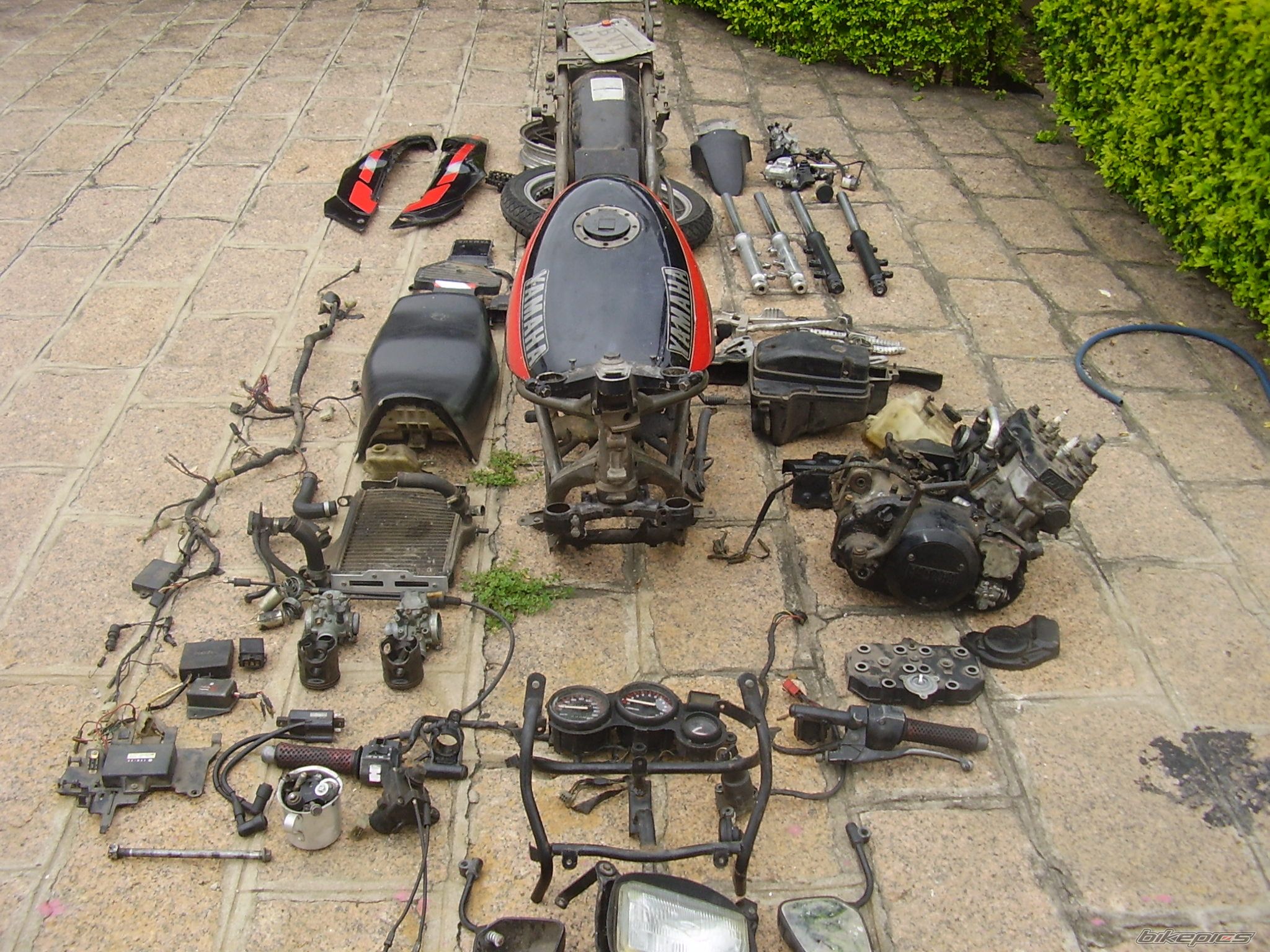 1989 YAMAHA RD350LC | Picture 1903081 motorcycle photo