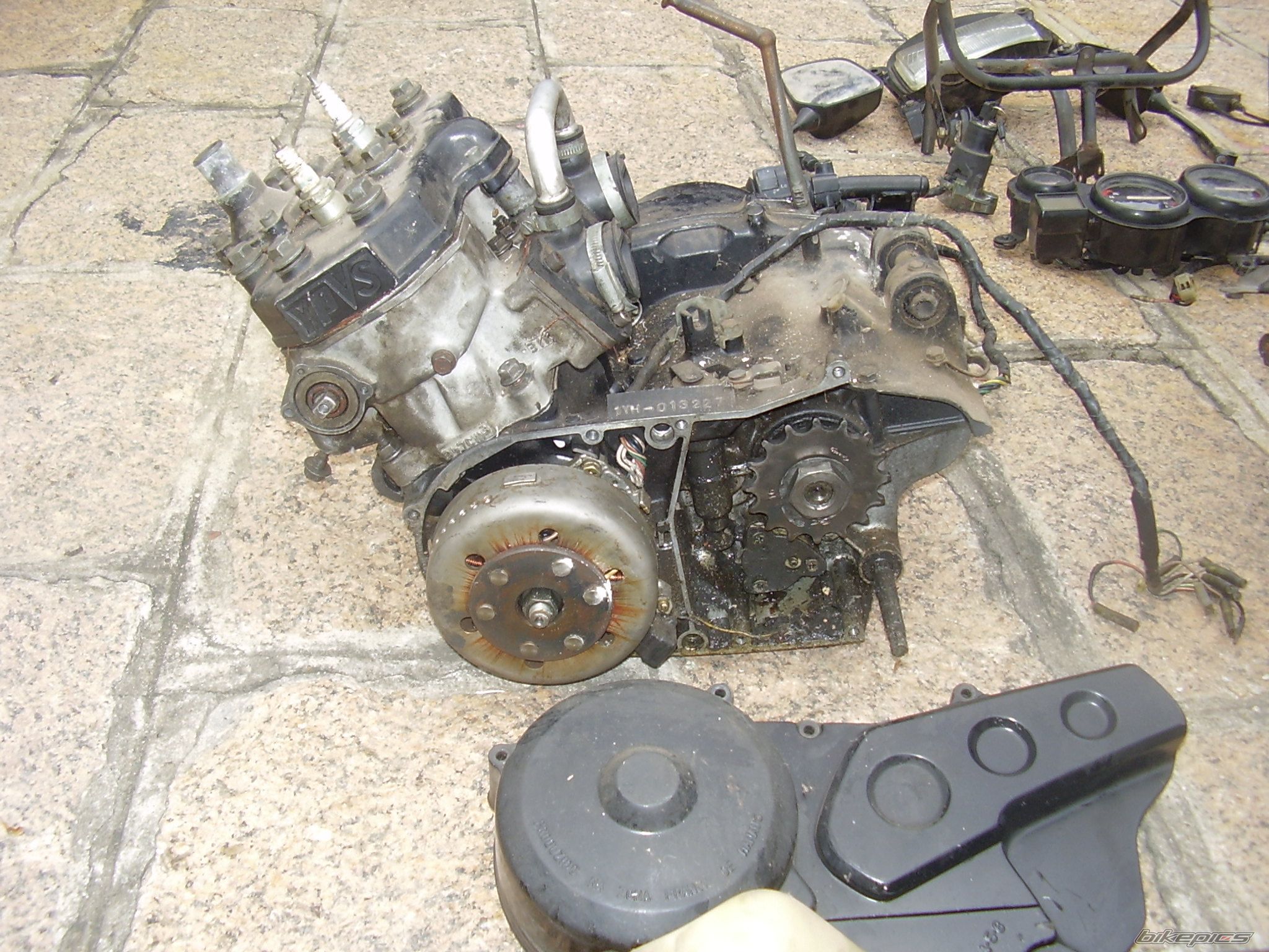 1989 YAMAHA RD350LC | Picture 1903105 motorcycle photo