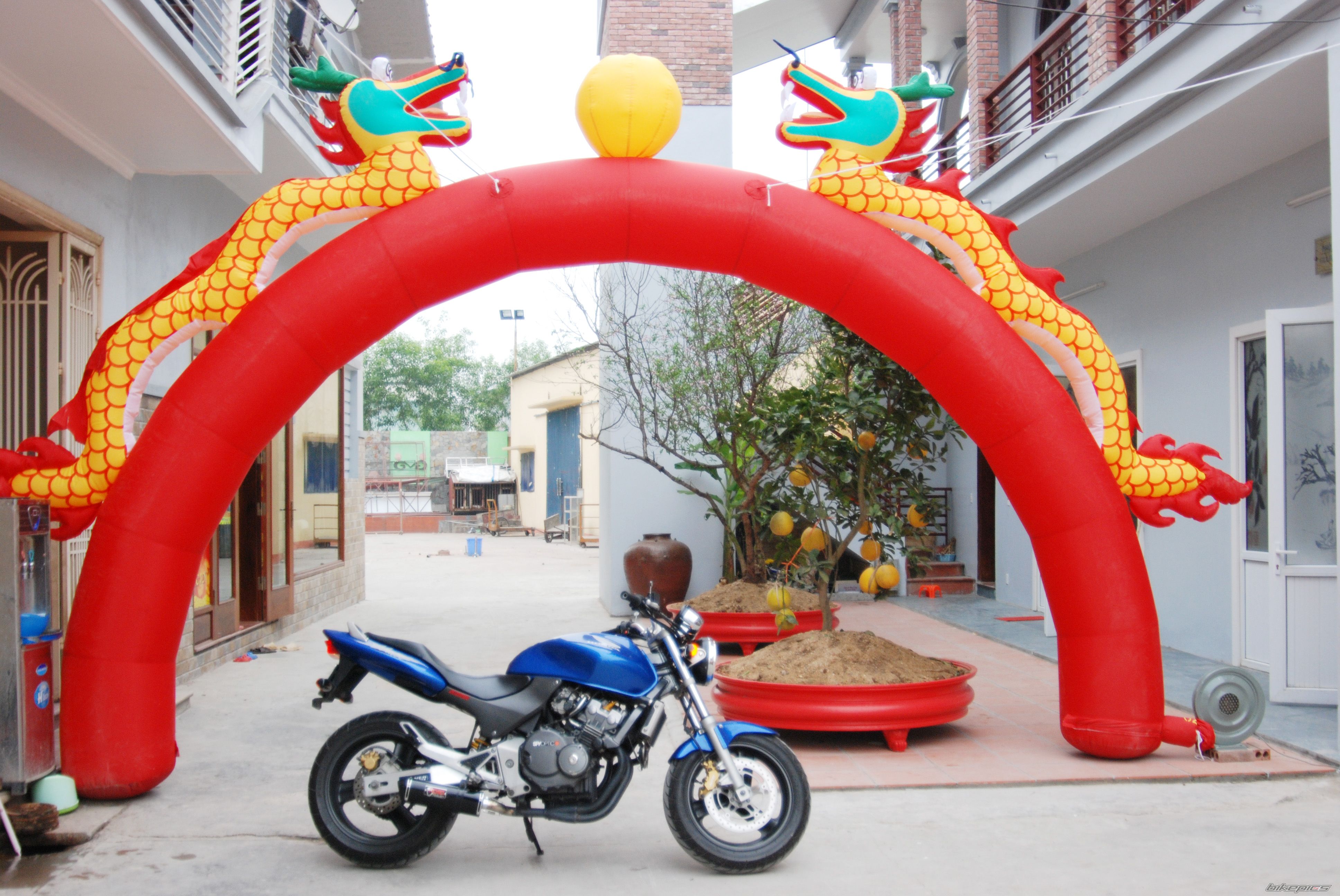 2010 HONDA CB 250 HORNET | Picture 1903407 motorcycle photo