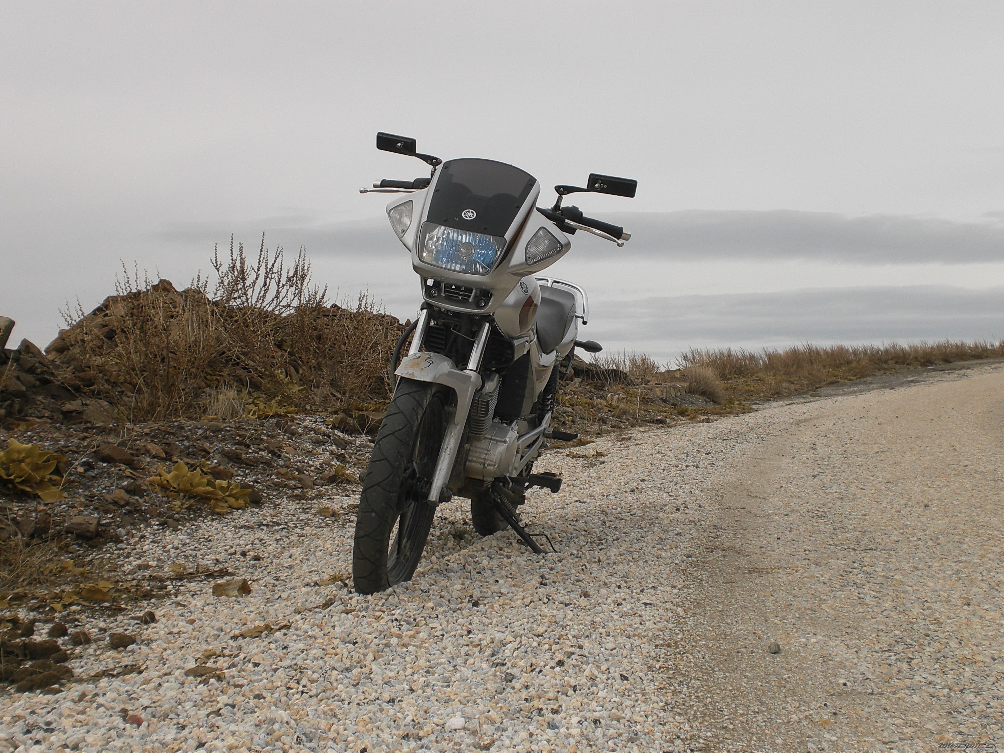 2009 YAMAHA YBR 125 | Picture 1903436 motorcycle photo