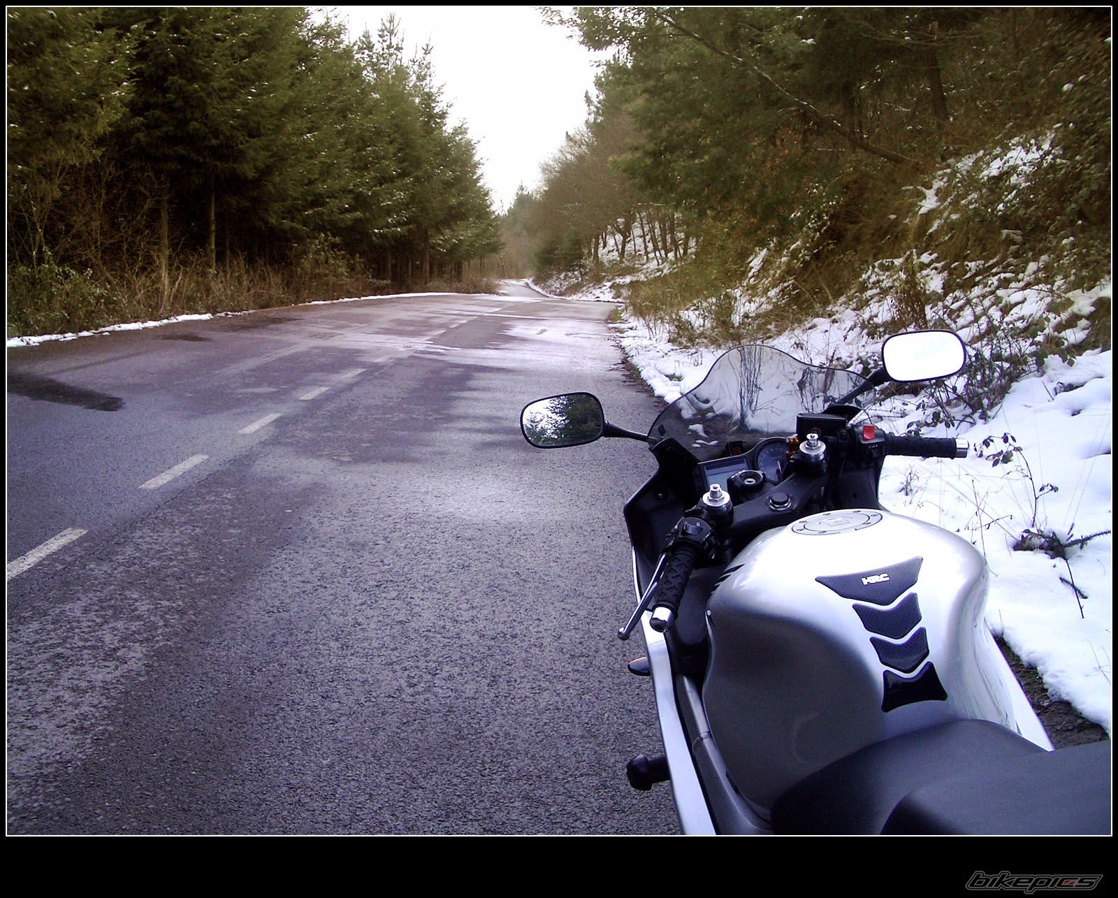 2001 HONDA CBR 600 | Picture 1903697 motorcycle photo