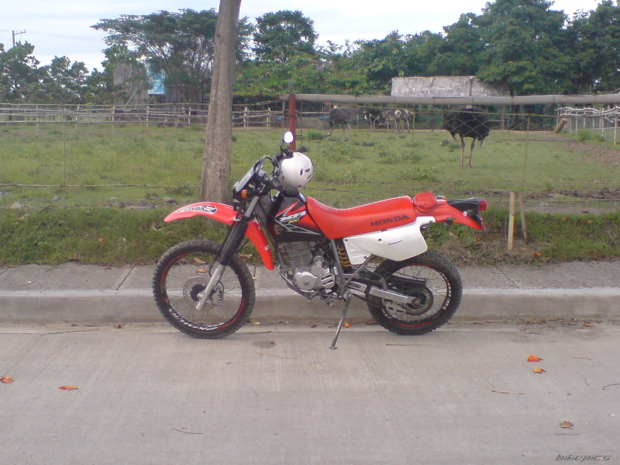 2009 HONDA XR 200 | Picture 1903787 motorcycle photo