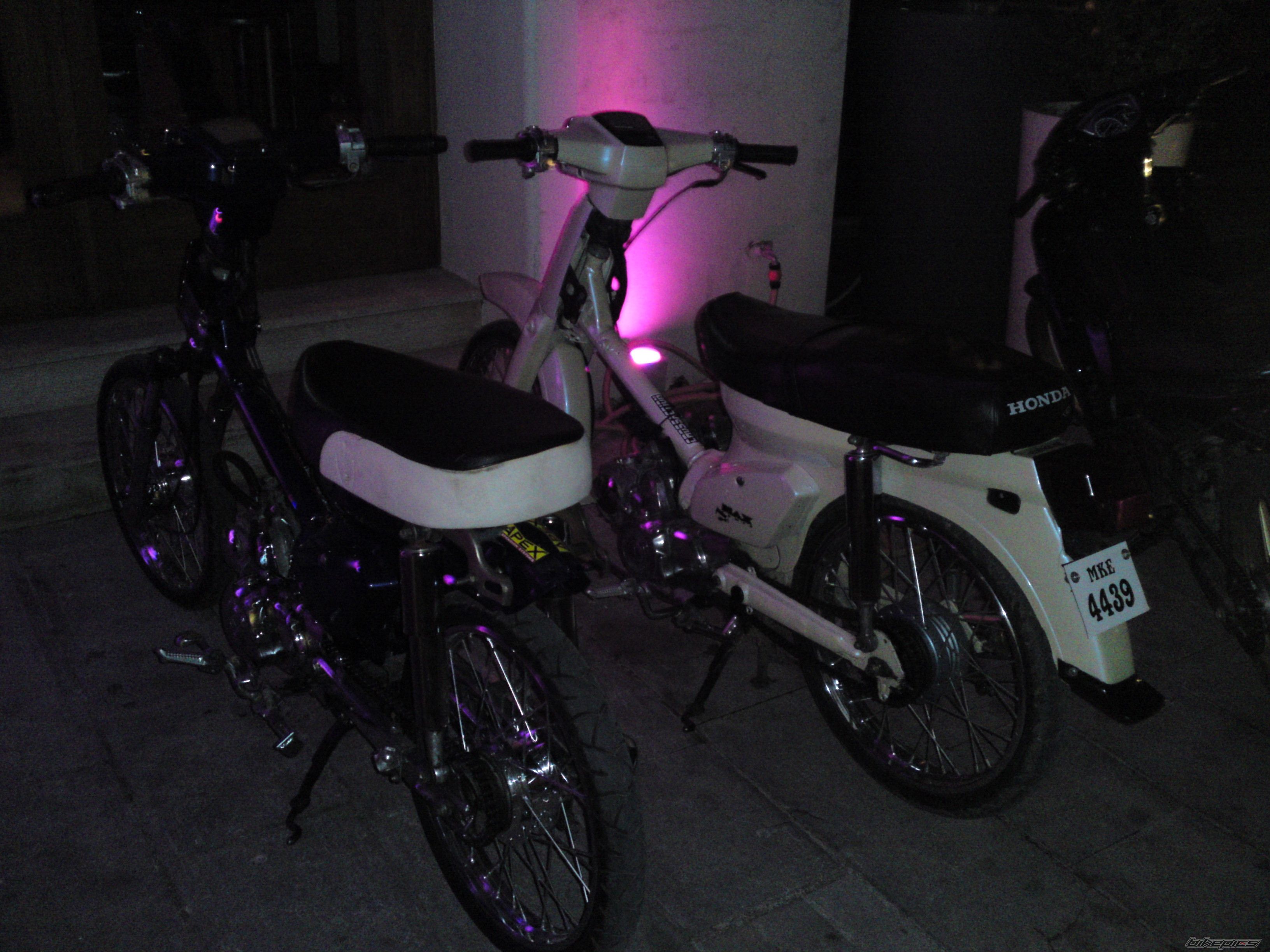 2010 HONDA GLX 50 | Picture 1903940 motorcycle photo