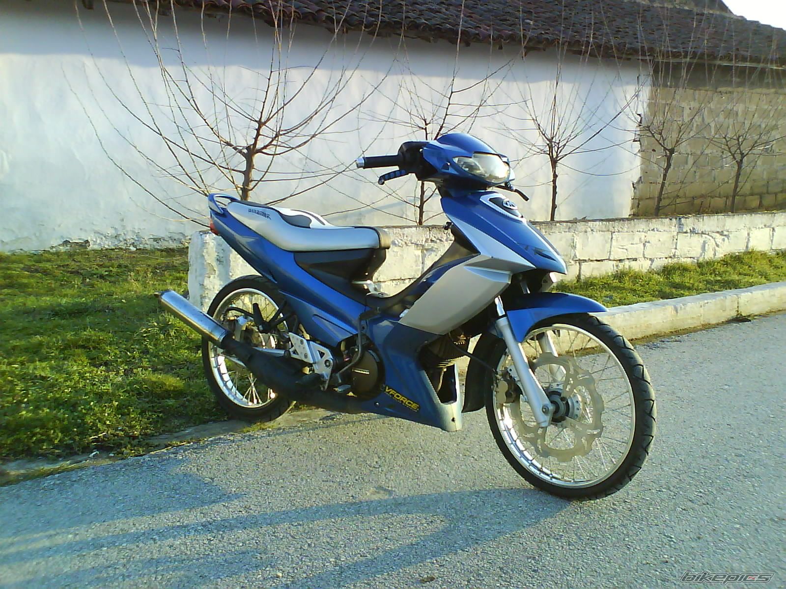 2010 MODENAS DYNAMIC 125 | Picture 1904058 motorcycle photo