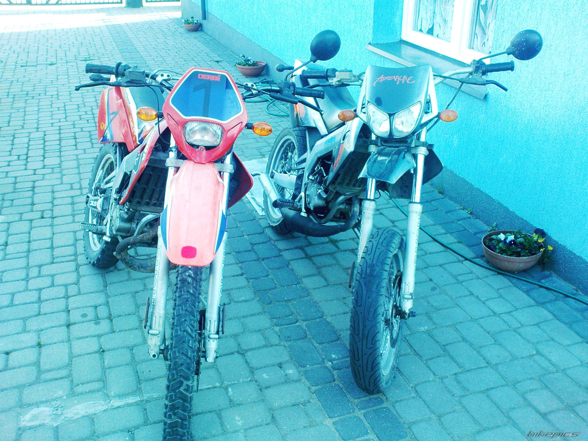 2002 DERBI SENDA X TREME R 50 | Picture 1904146 motorcycle photo