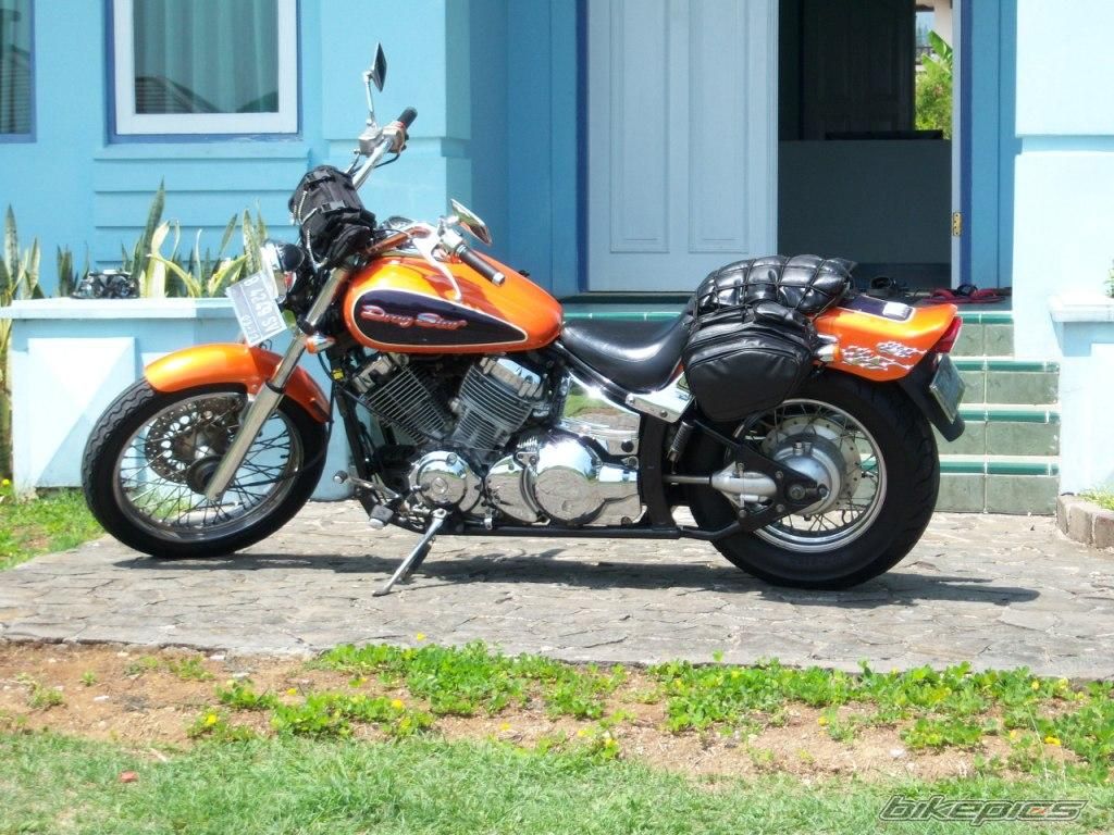 1998 YAMAHA DRAGSTAR 400 | Picture 1904633 motorcycle photo