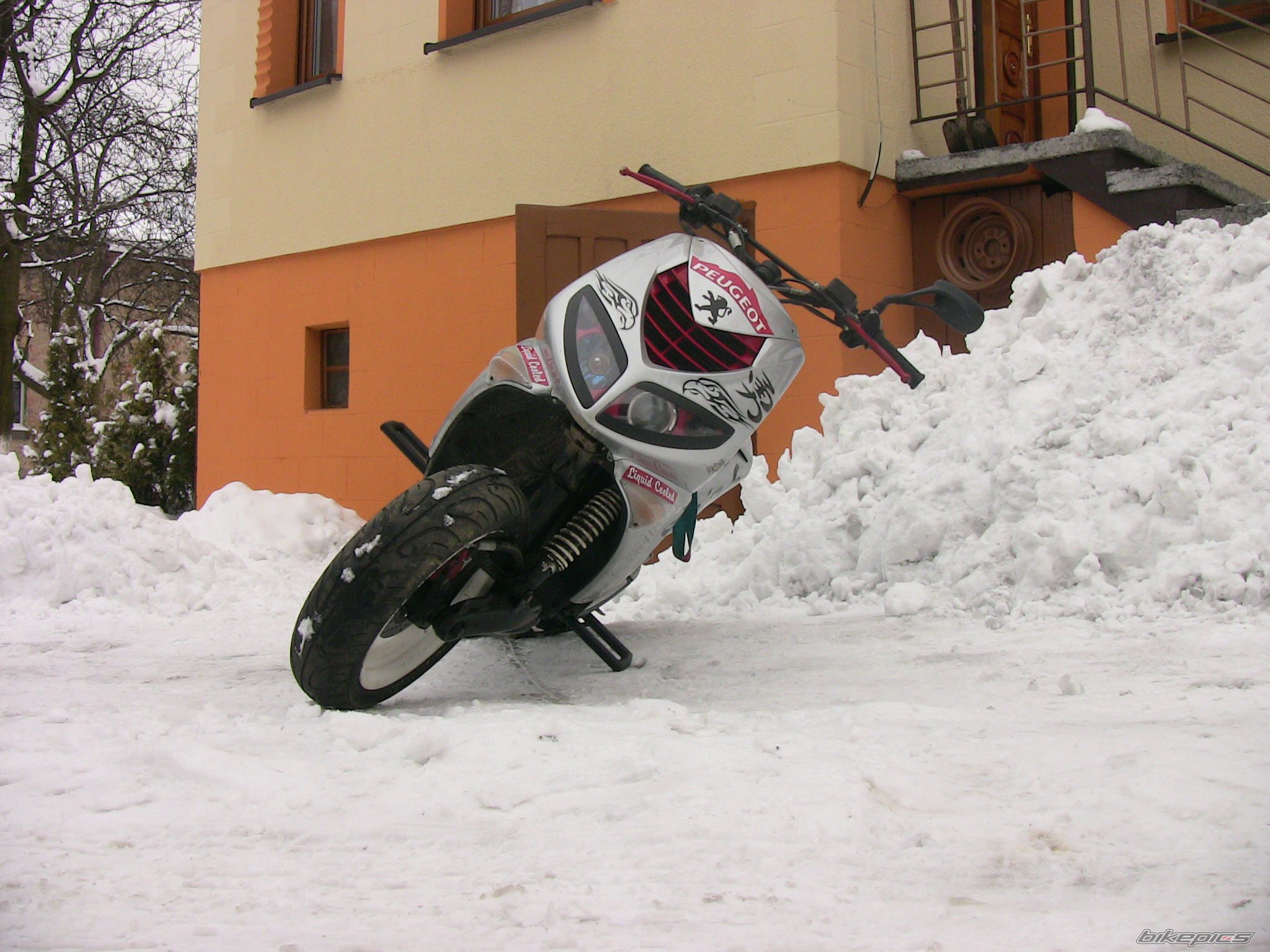 2004 PEUGEOT SPEEDFIGHT2 50 | Picture 1904787 motorcycle photo