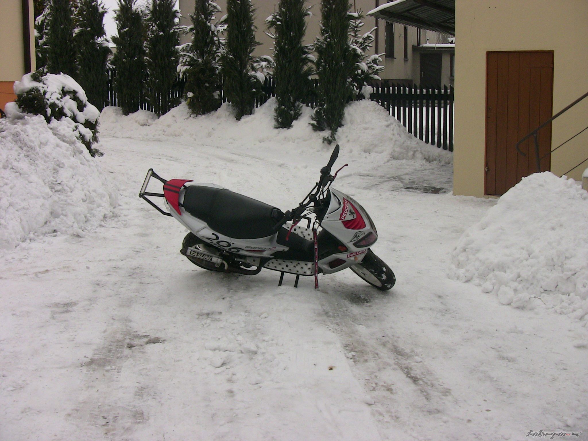 2004 PEUGEOT SPEEDFIGHT2 50 | Picture 1904793 motorcycle photo