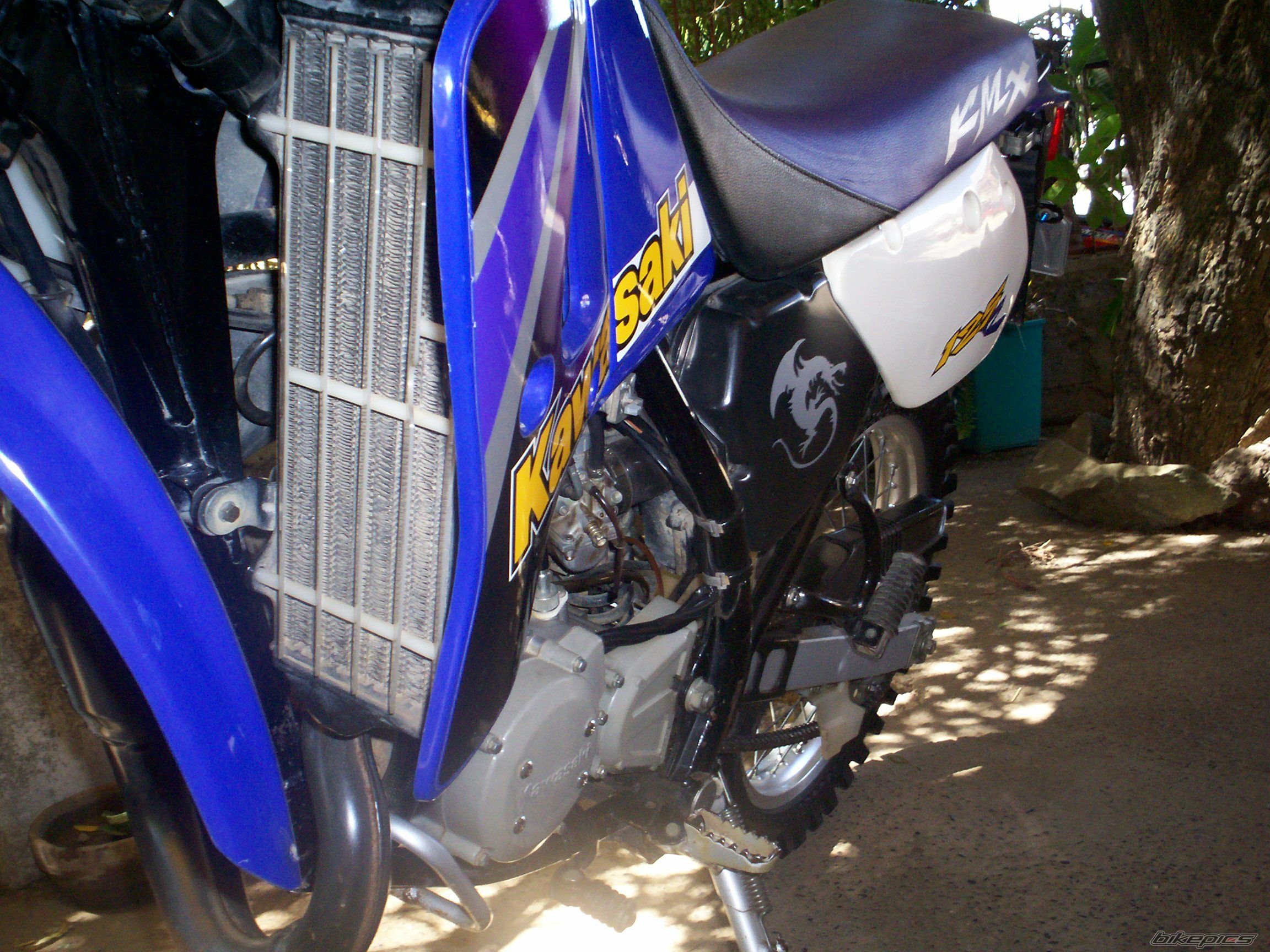 2001 KAWASAKI KMX 125 | Picture 1905340 motorcycle photo