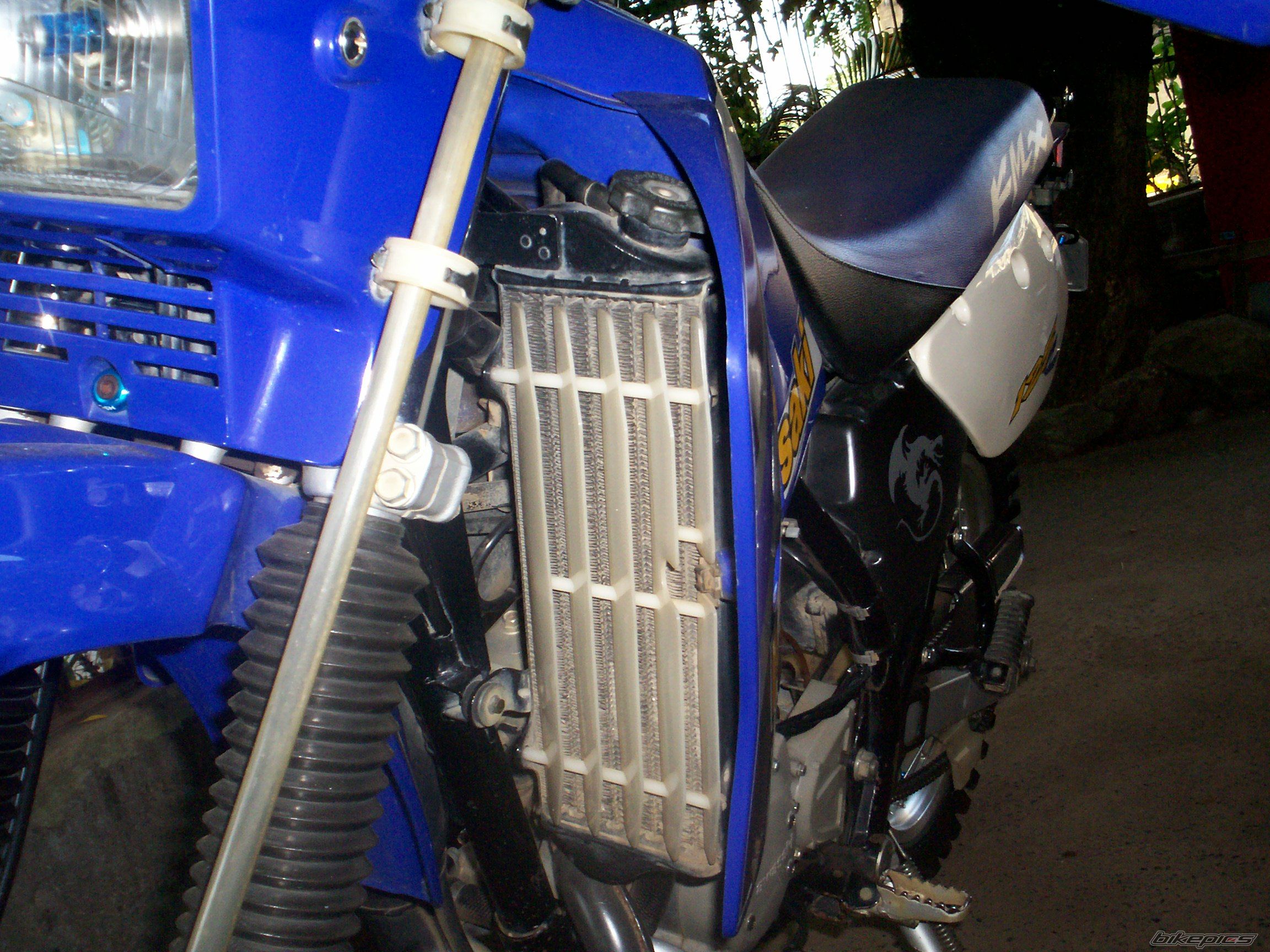 2001 KAWASAKI KMX 125 | Picture 1905351 motorcycle photo