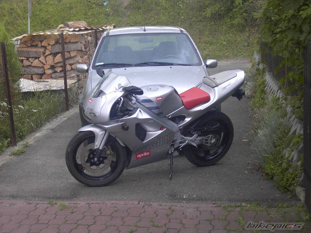 1997 APRILIA RS 50 | Picture 190558 motorcycle photo
