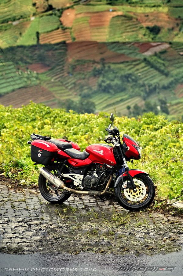 2008 BAJAJ PULSAR 200 | Picture 1906147 motorcycle photo