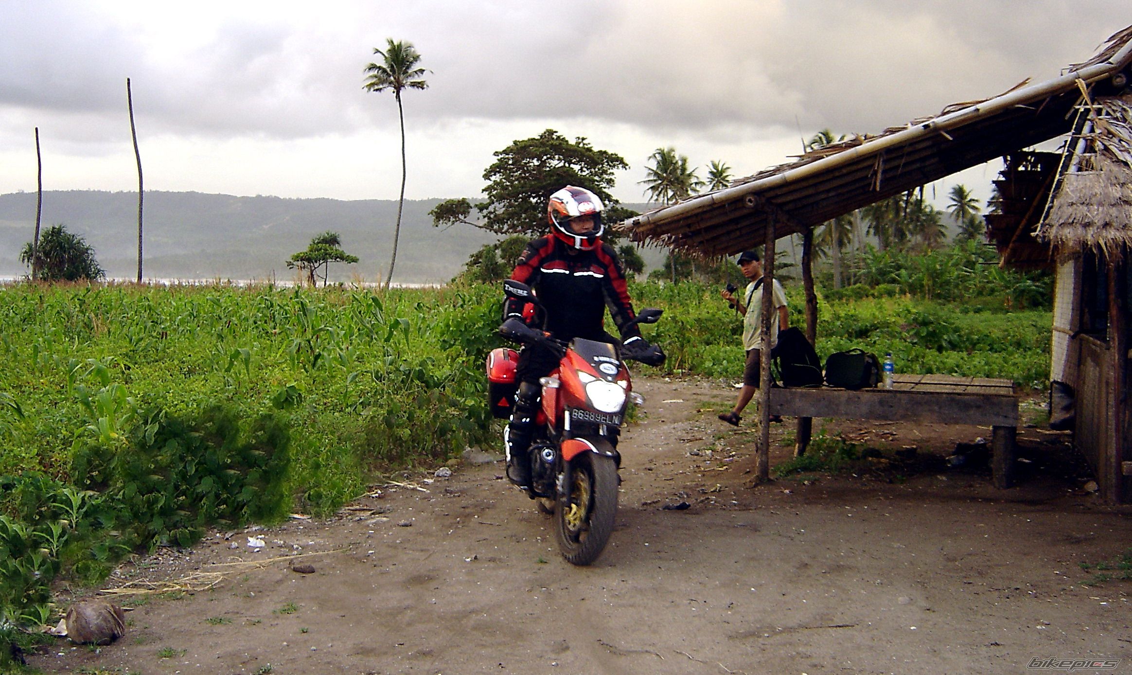 2008 BAJAJ PULSAR 200 | Picture 1906172 motorcycle photo