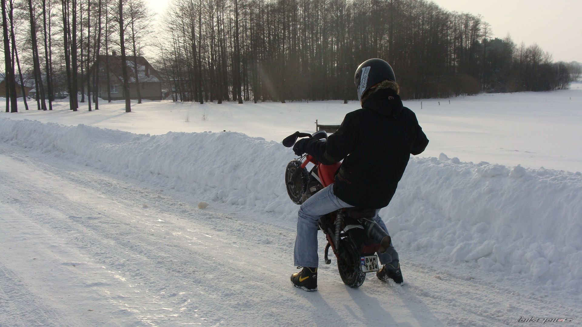 2010 ROMET PONY 50 M 3 | Picture 1906436 motorcycle photo
