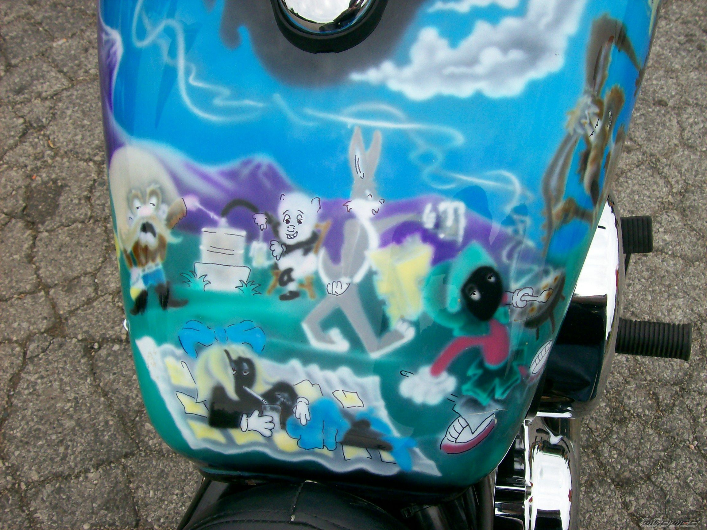 1998 KAWASAKI VULCAN 800 | Picture 1906880 motorcycle photo