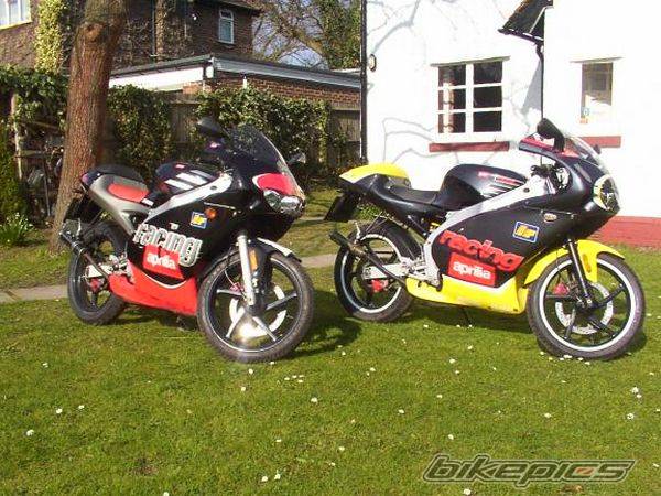 2002 APRILIA RS 50 | Picture 190707 motorcycle photo