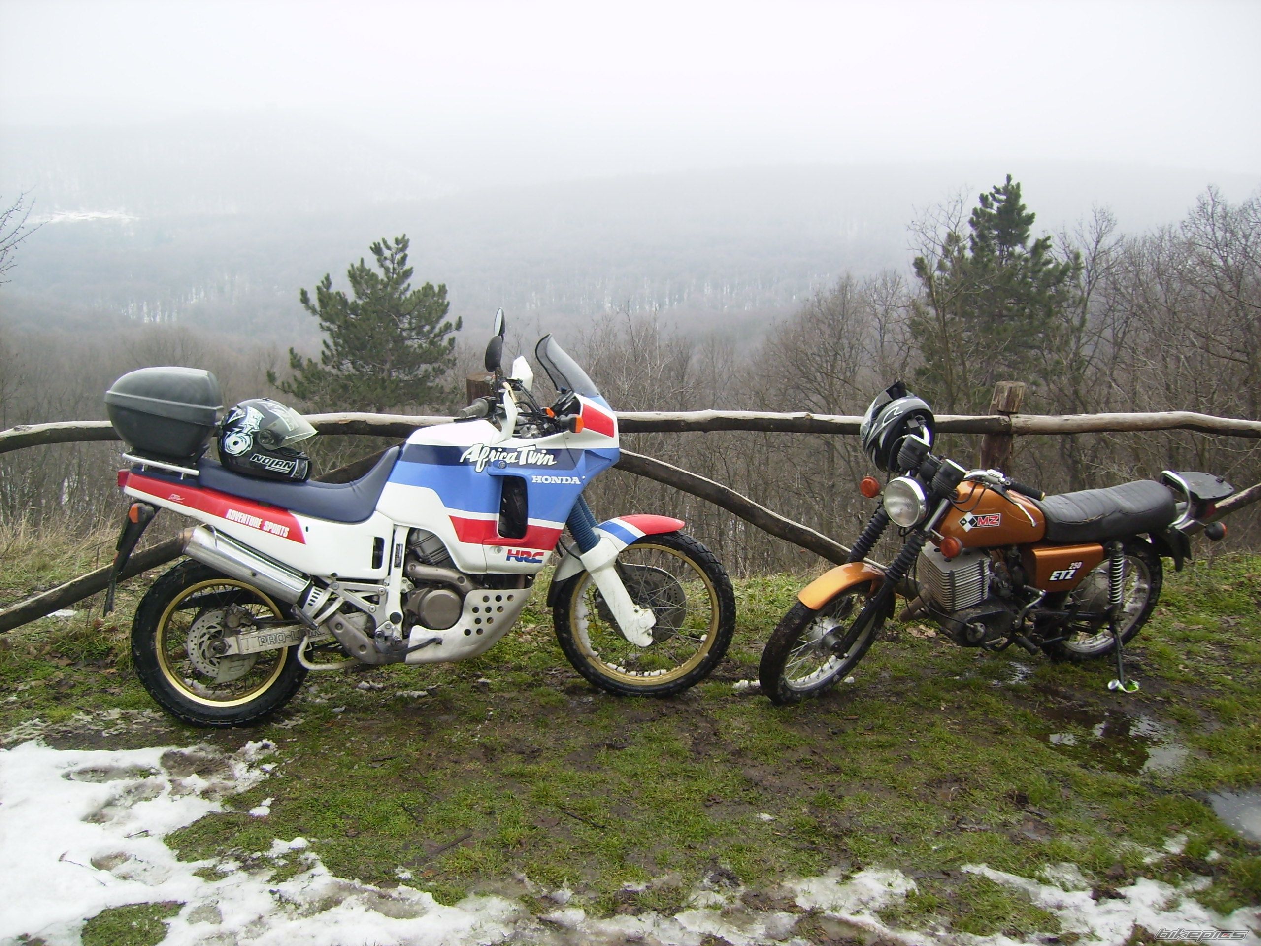 1977 TOMOS APN 4 | Picture 1907490 motorcycle photo