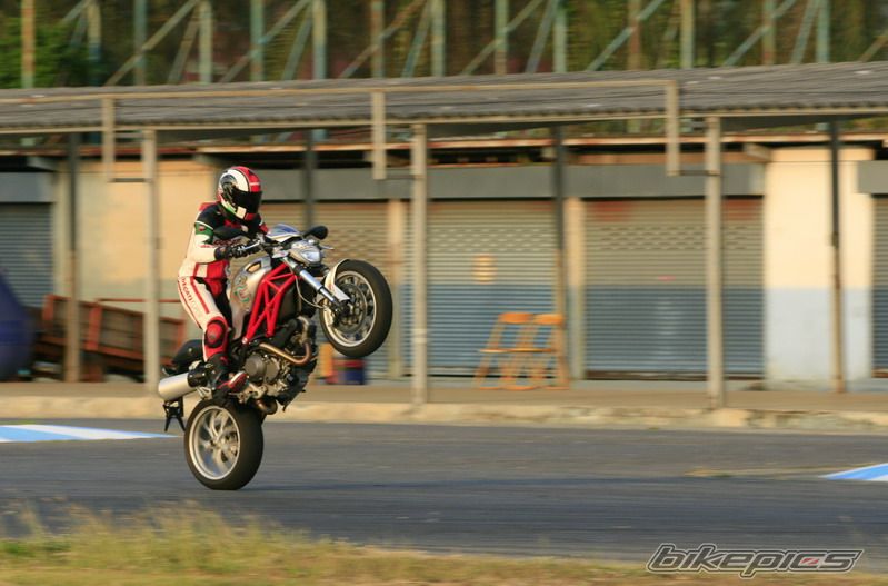 2009 DUCATI MONSTER 1000 | Picture 1907578 motorcycle photo