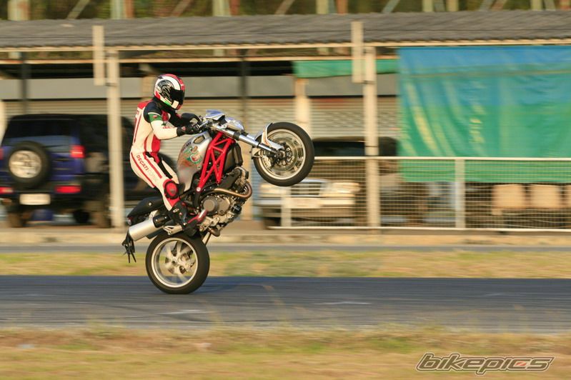 2009 DUCATI MONSTER 1000 | Picture 1907597 motorcycle photo
