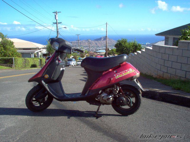 1995 HONDA ELITE | Picture 190838 motorcycle photo