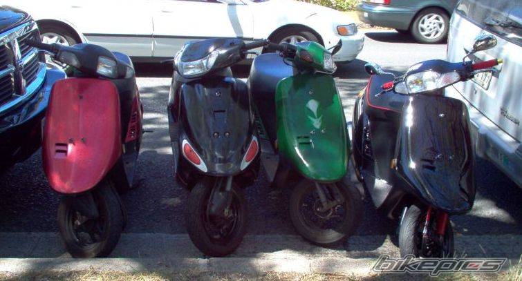 1995 HONDA ELITE | Picture 190839 motorcycle photo