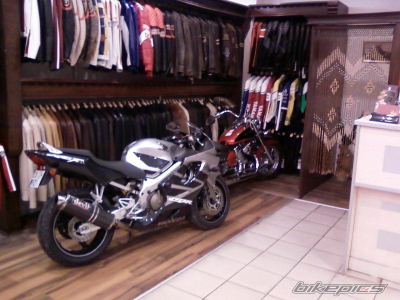 2006 HONDA CBR 600 | Picture 1909111 motorcycle photo