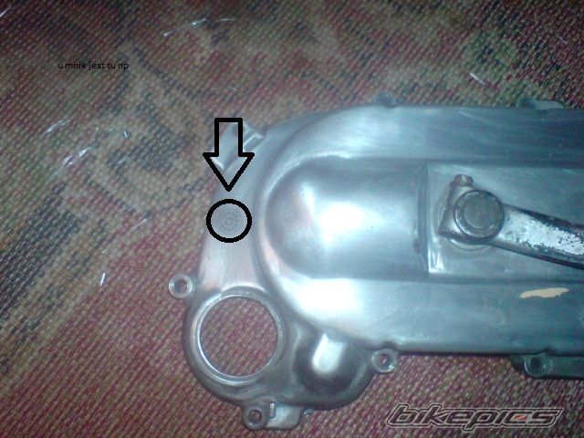 2002 PIAGGIO TYPHOON 50 | Picture 1909641 motorcycle photo