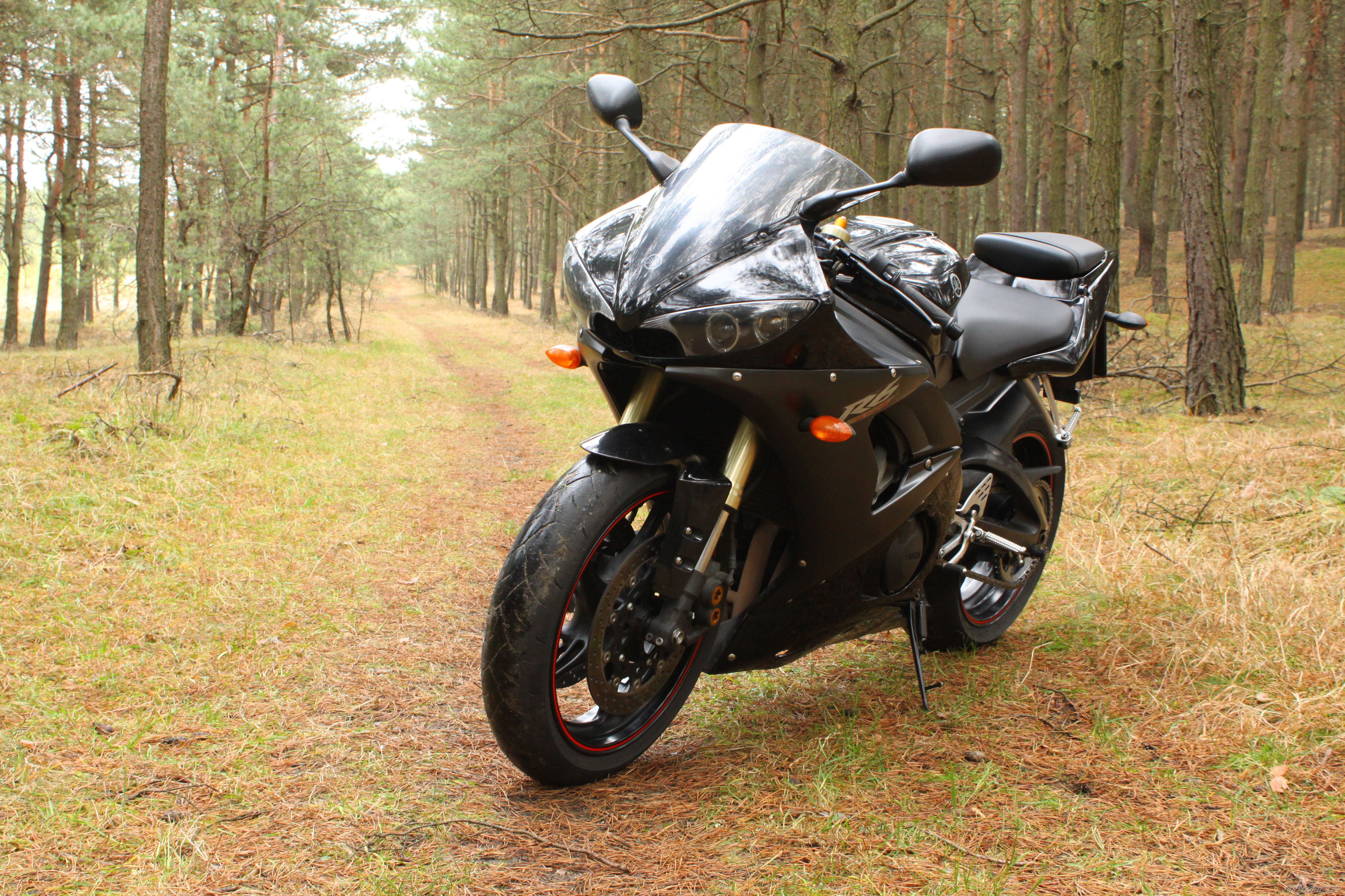 2005 YAMAHA YZF R6 | Picture 1910177 motorcycle photo